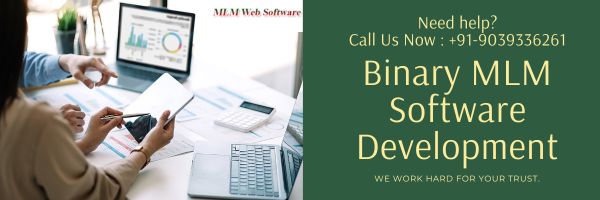 Binary MLM Plan Software Development Services